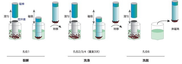 images/20220929/80552d0e164ce8b4366b0374b4004a74.png
