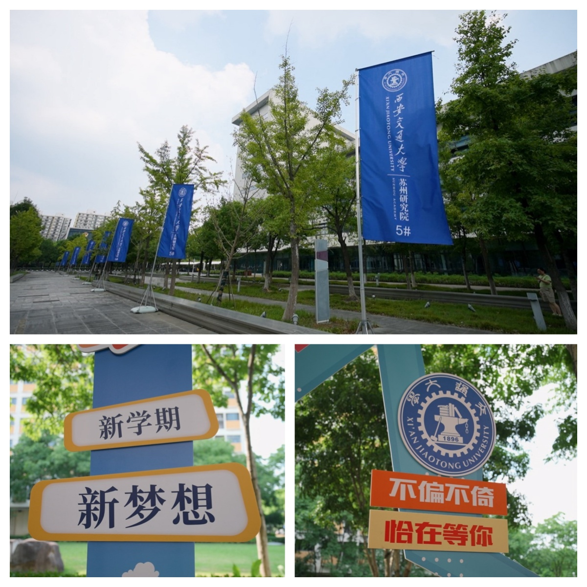 images/20240827/6e2f19db010992292150f4ec835537a6.png